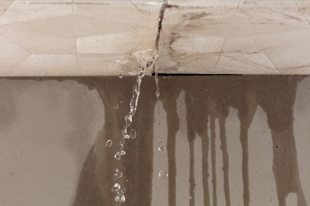 Professional Structural Drying technician working in Dale, WI